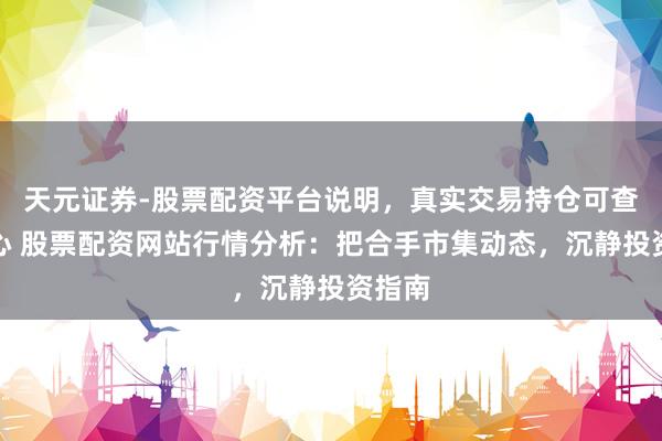 天元证券-股票配资平台说明，真实交易持仓可查更放心 股票配资网站行情分析：把合手市集动态，沉静投资指南