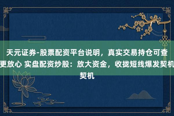 天元证券-股票配资平台说明，真实交易持仓可查更放心 实盘配资炒股：放大资金，收拢短线爆发契机
