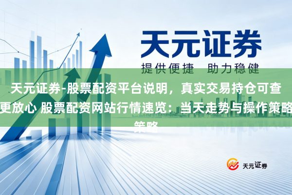 天元证券-股票配资平台说明，真实交易持仓可查更放心 股票配资网站行情速览：当天走势与操作策略