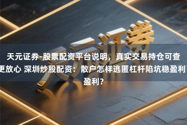 天元证券-股票配资平台说明，真实交易持仓可查更放心 深圳炒股配资：散户怎样逃匿杠杆陷坑稳盈利？