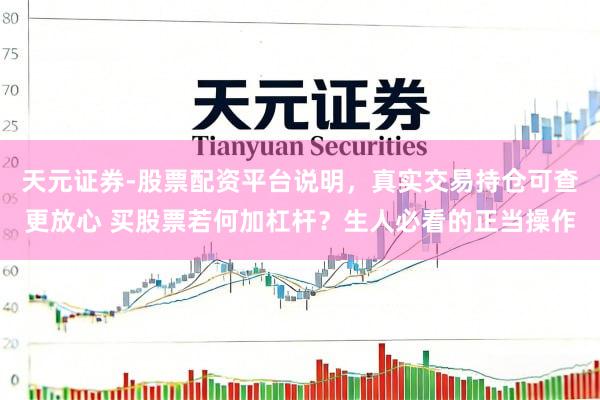 天元证券-股票配资平台说明，真实交易持仓可查更放心 买股票若何加杠杆？生人必看的正当操作