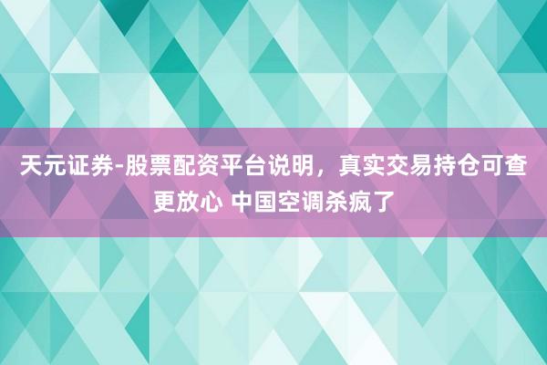 天元证券-股票配资平台说明，真实交易持仓可查更放心 中国空调杀疯了